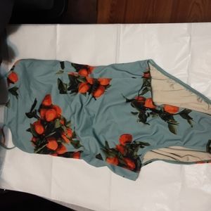 Albion Clementine One-Piece Swimsuit